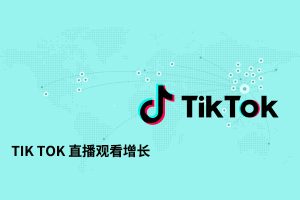 Tik Tok 直播观看增长-30分钟